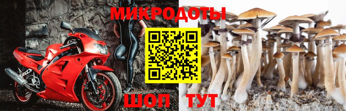 Галлюциногенные грибы ЛСД Арсеньев