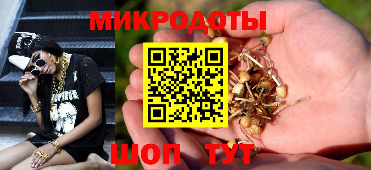 Псилоцибиновые грибы Psilocybine cubensis  Вход с VPN  Арсеньев 